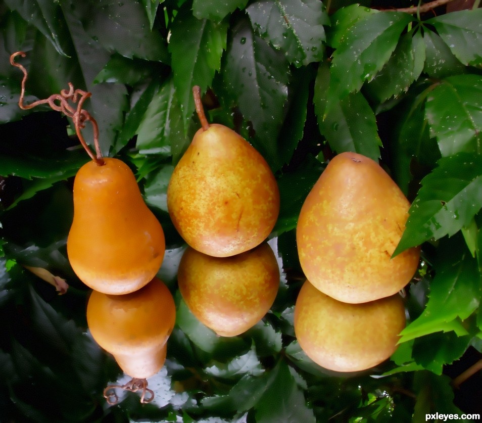 Reflective Pears