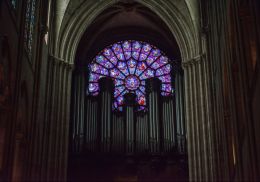 The organ pipes