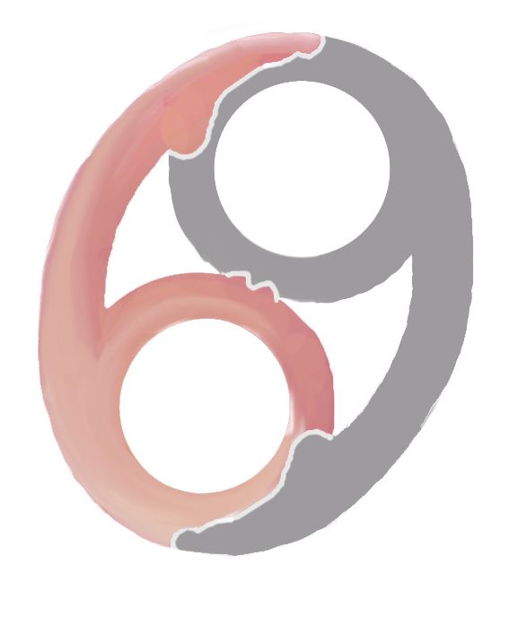 Creation of 69: Step 2