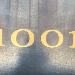 PalindromicNumberonSteel