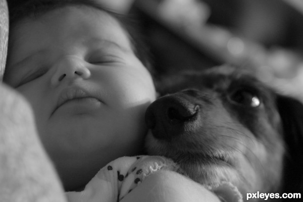 Baby & Puppy in Balance