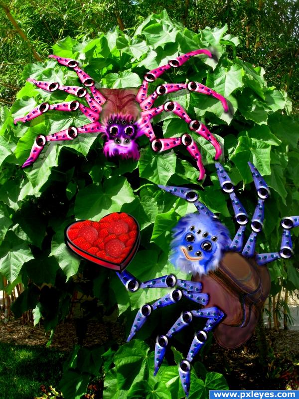 Creation of Spiders in Love (Nisha CUTE): Final Result