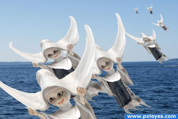 Flock of NUNS