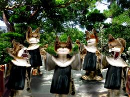 Gonna Bring You Joy "Dog Nuns"