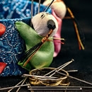 nursery rhymes 2 photography contest