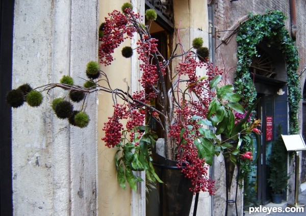 Artistic berry composition