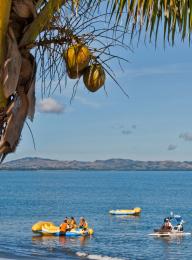 Coconuts