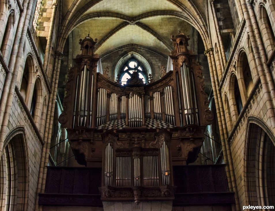 Organ