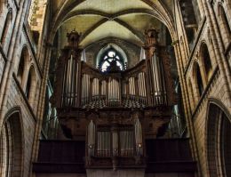 Organ