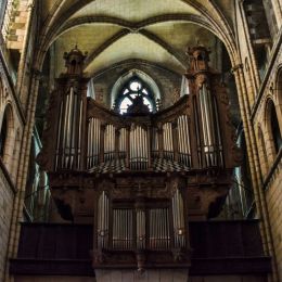 Organ