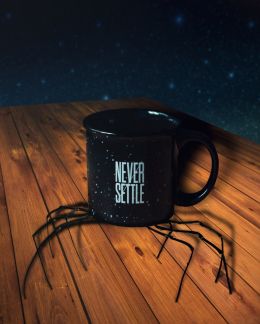 Never settle