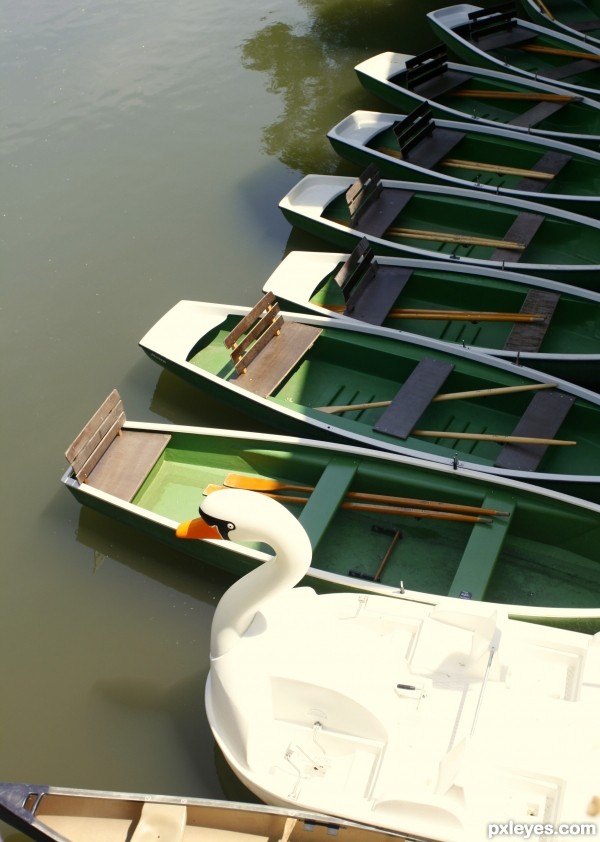 Boats in Tubingen