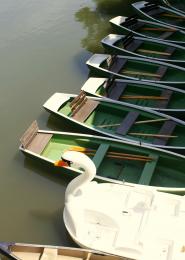 Boats in Tubingen