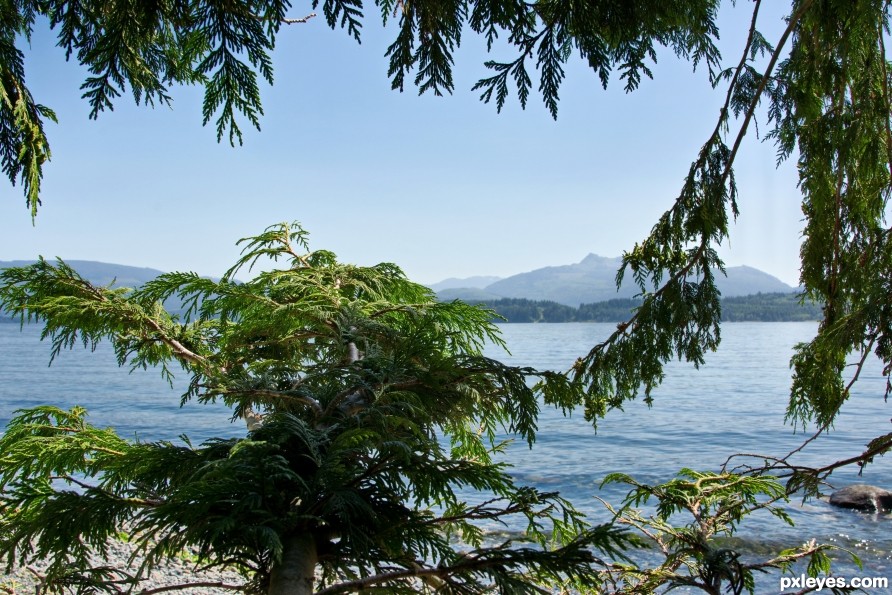 British Columbia - Western Red Cedar