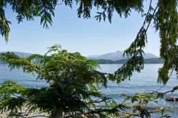 British Columbia - Western Red Cedar