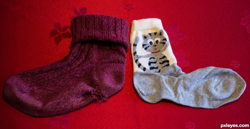 Old sock, new sock