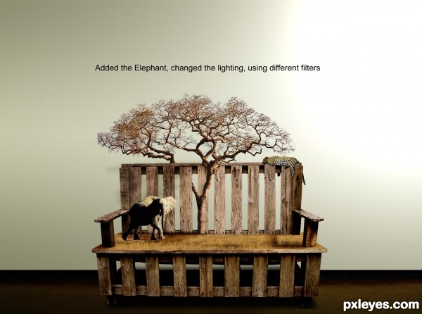 Creation of Out of Africa.: Step 8
