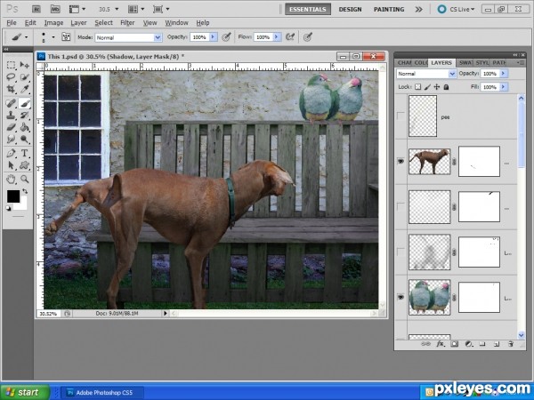 Creation of What a relief!: Step 4