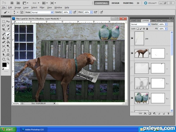 Creation of What a relief!: Step 5