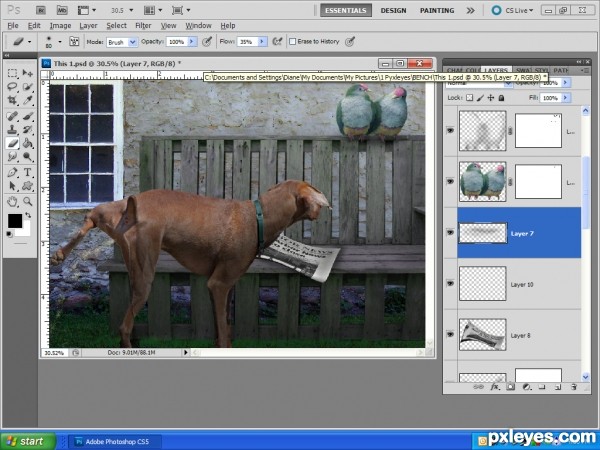 Creation of What a relief!: Step 6