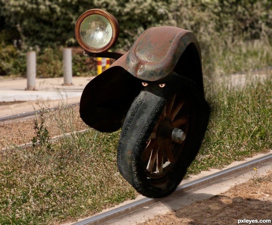 Rail patrol