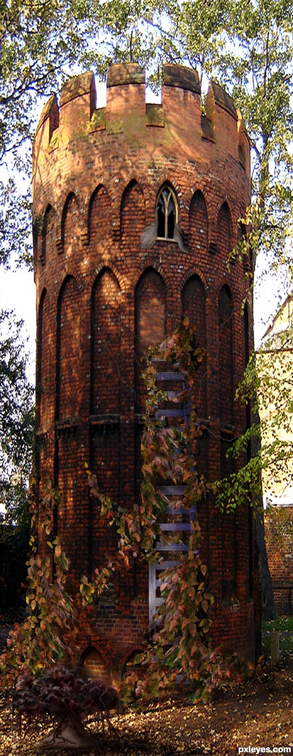Creation of Rapunzel's Tower Revisited: Final Result