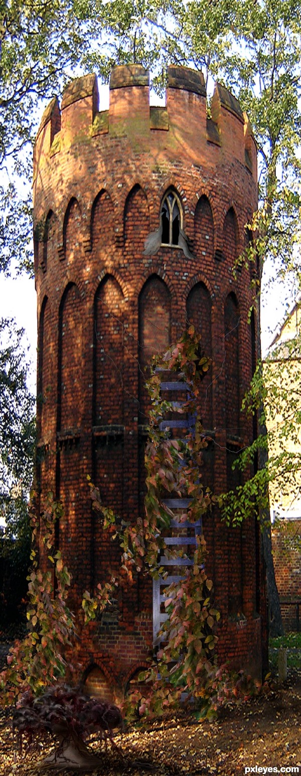 Creation of Rapunzel's Tower Revisited: Step 13