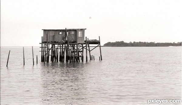 Cedar Key