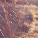 old film photography contest