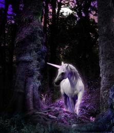 Unicorn Picture