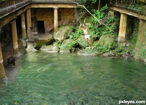 old pool in the forest