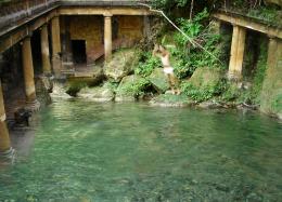 old pool in the forest