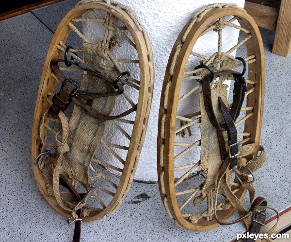 Grandfathers snowshoes