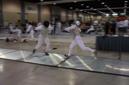 Fencing Picture