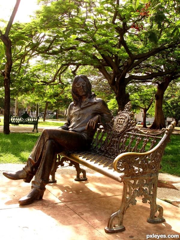 A beatle on the bench