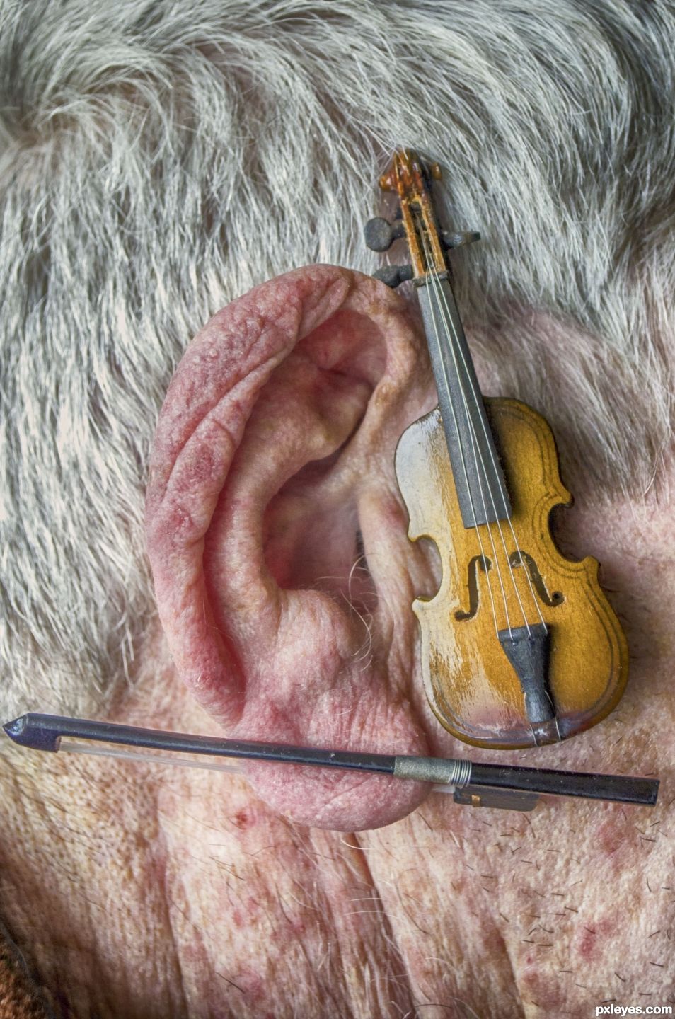 Musical Ear