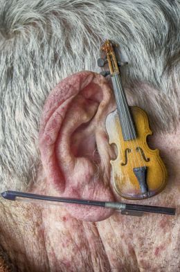 Musical Ear