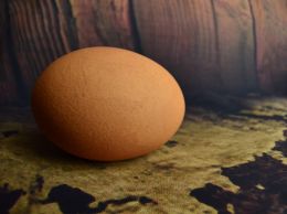 barn egg