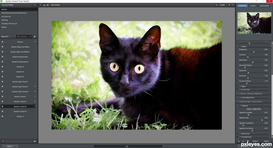 Creation of Hippie the cat: Step 2