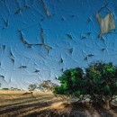 one filter 2018 photography contest