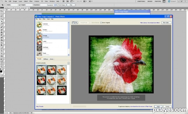 Creation of Grunge chicken: Step 2