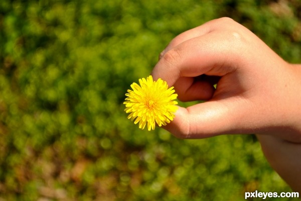 Creation of Rusty Weed: Step 1