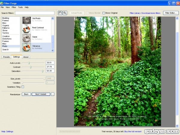 Creation of Natural Vibrance : Step 2