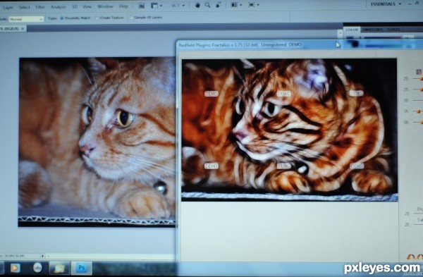 Creation of Puddy Cat: Step 2