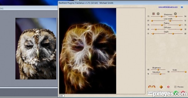 Creation of Owl: Step 1
