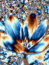 psychedelic