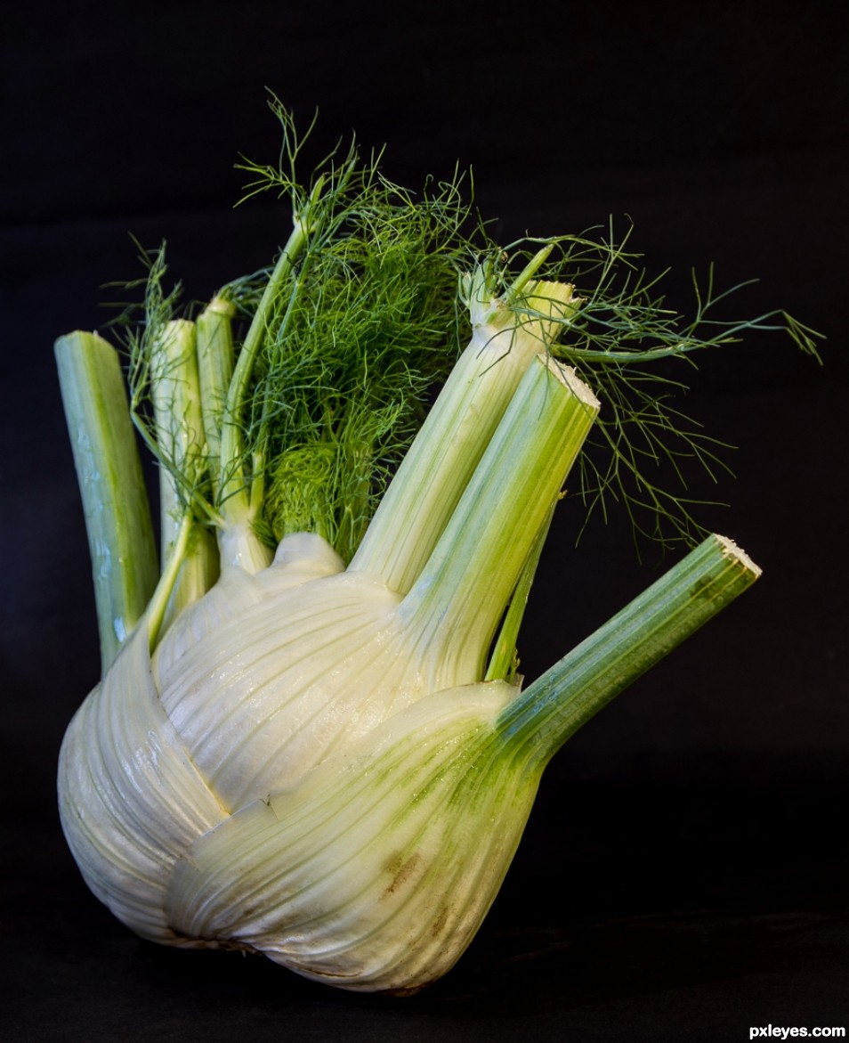 The fennel
