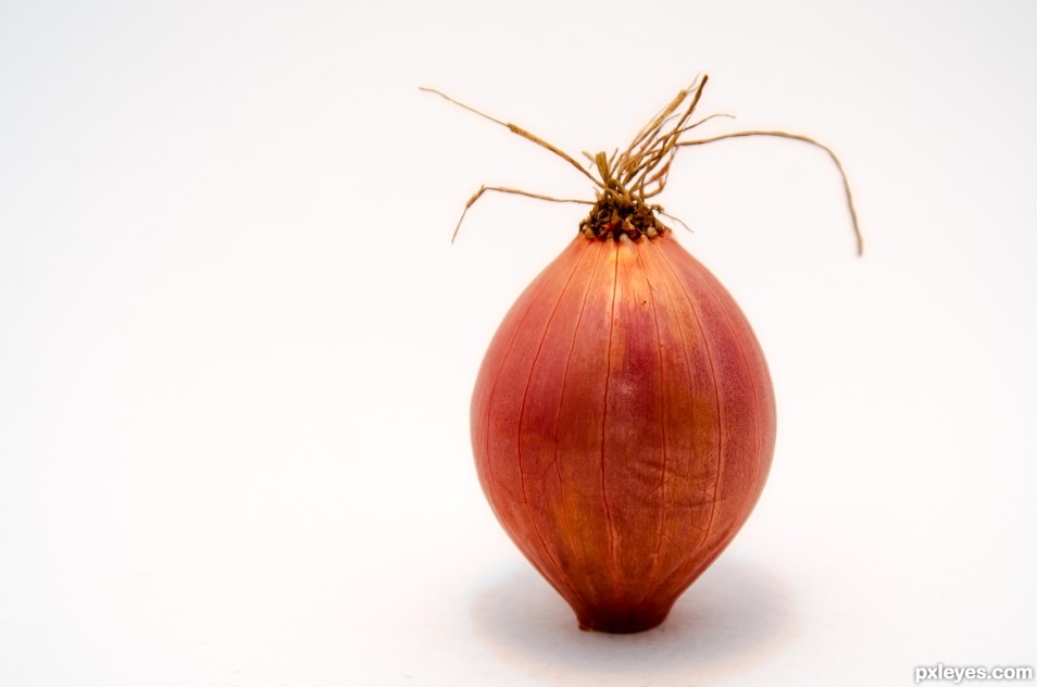 The Onion. The always present vegetable.