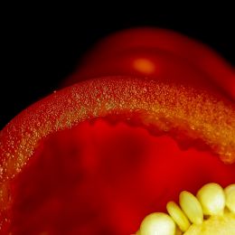 RedPepper