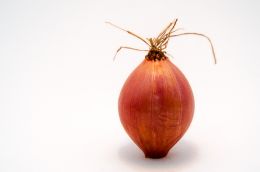 The Onion. The always present vegetable.